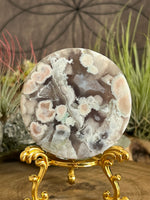131g Flower Agate Round Slice