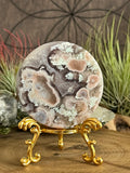 131g Flower Agate Round Slice