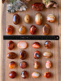 Carnelian Palm Stones