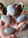 Moonstone and Sunstone Palm Stones