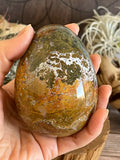 591g Beautiful Ocean Jasper Eggs