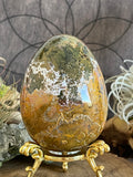 591g Beautiful Ocean Jasper Eggs
