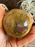 591g Beautiful Ocean Jasper Eggs