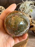 591g Beautiful Ocean Jasper Eggs